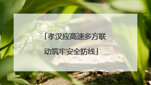 孝汉应高速多方联动筑牢安全防线