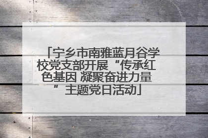 宁乡市南雅蓝月谷学校党支部开展“传承红色基因 凝聚奋进力量”主题党日活动