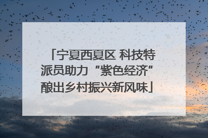 宁夏西夏区 科技特派员助力“紫色经济”酿出乡村振兴新风味