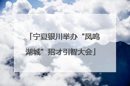 宁夏银川举办“凤鸣湖城”招才引智大会