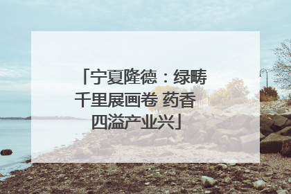 宁夏隆德：绿畴千里展画卷 药香四溢产业兴