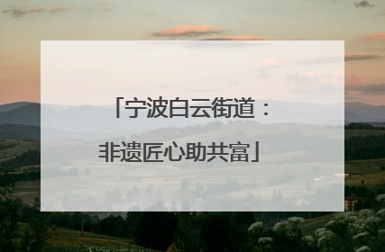 宁波白云街道：非遗匠心助共富