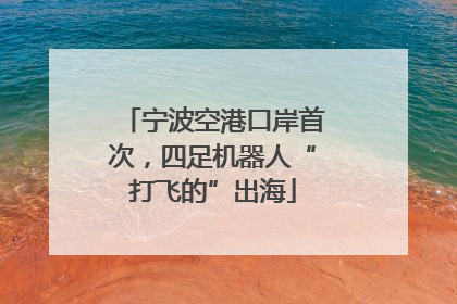 宁波空港口岸首次，四足机器人“打飞的”出海