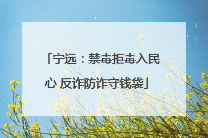 宁远：禁毒拒毒入民心 反诈防诈守钱袋