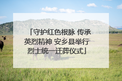 守护红色根脉 传承英烈精神 安乡县举行烈士统一迁葬仪式