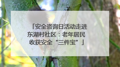 安全咨询日活动走进东湖村社区：老年居民收获安全“三件宝”
