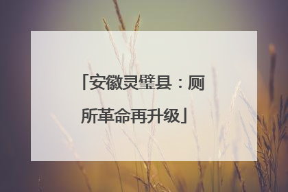 安徽灵璧县：厕所革命再升级