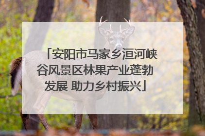 安阳市马家乡洹河峡谷风景区林果产业蓬勃发展 助力乡村振兴