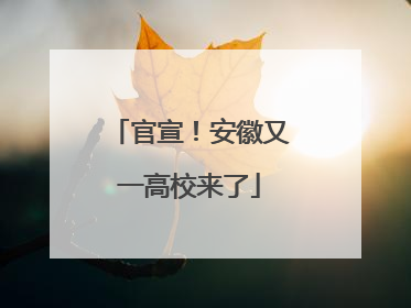 官宣！安徽又一高校来了