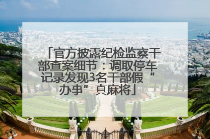 官方披露纪检监察干部查案细节：调取停车记录发现3名干部假“办事”真麻将