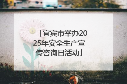 宜宾市举办2025年安全生产宣传咨询日活动