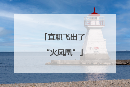宜职飞出了“火凤凰”