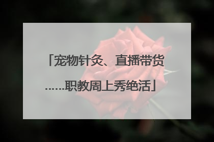 宠物针灸、直播带货……职教周上秀绝活
