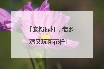 宠粉标杆，老乡鸡又玩新花样