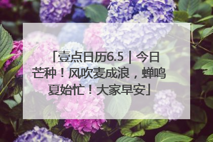 壹点日历6.5｜今日芒种！风吹麦成浪，蝉鸣夏始忙！大家早安