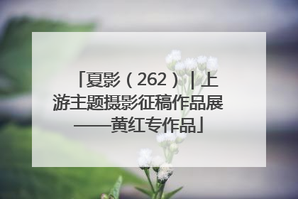 夏影（262）｜上游主题摄影征稿作品展——黄红专作品
