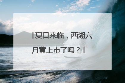 夏日来临，西湖六月黄上市了吗？