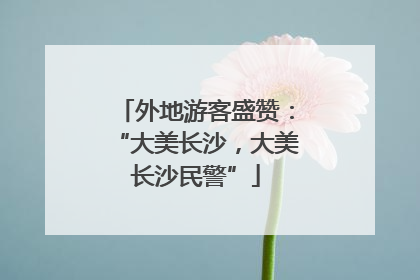 外地游客盛赞：“大美长沙，大美长沙民警”