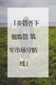 多管齐下强监管 筑牢市场守防线