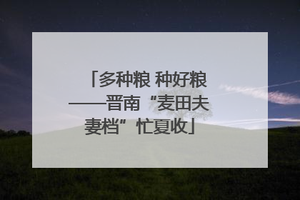 多种粮 种好粮——晋南“麦田夫妻档”忙夏收
