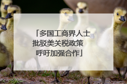 多国工商界人士批驳美关税政策 呼吁加强合作
