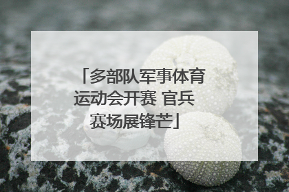 多部队军事体育运动会开赛 官兵赛场展锋芒
