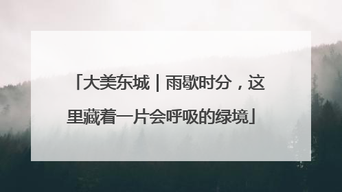 大美东城｜雨歇时分，这里藏着一片会呼吸的绿境