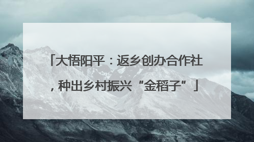 大悟阳平：返乡创办合作社，种出乡村振兴“金稻子”