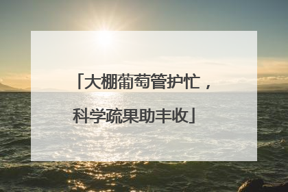 大棚葡萄管护忙，科学疏果助丰收