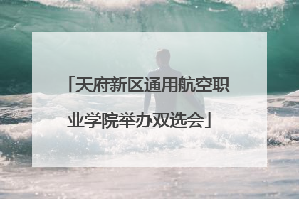 天府新区通用航空职业学院举办双选会