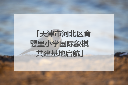 天津市河北区育婴里小学国际象棋共建基地启航