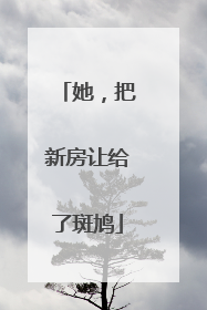 她，把新房让给了斑鸠
