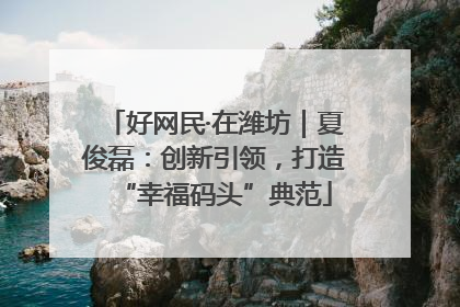 好网民·在潍坊｜夏俊磊：创新引领，打造“幸福码头”典范