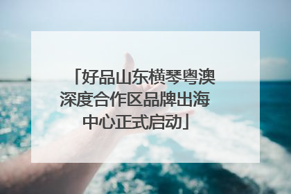 好品山东横琴粤澳深度合作区品牌出海中心正式启动
