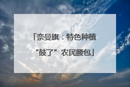奈曼旗：特色种植“鼓了”农民腰包