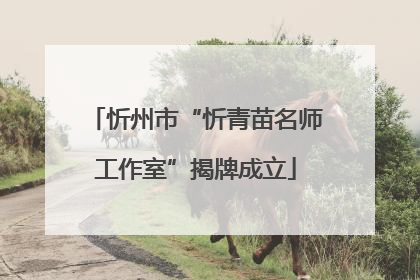 忻州市“忻青苗名师工作室”揭牌成立