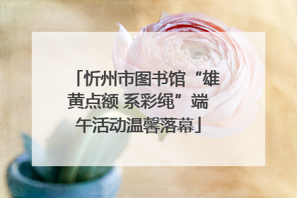 忻州市图书馆“雄黄点额 系彩绳”端午活动温馨落幕
