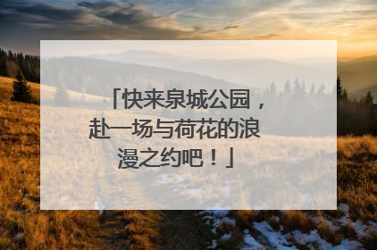 快来泉城公园，赴一场与荷花的浪漫之约吧！