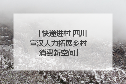 快递进村 四川宣汉大力拓展乡村消费新空间