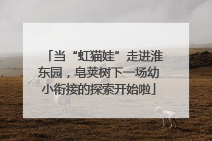 当“虹猫娃”走进淮东园，皂荚树下一场幼小衔接的探索开始啦