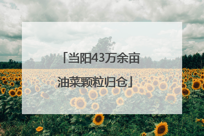 当阳43万余亩油菜颗粒归仓