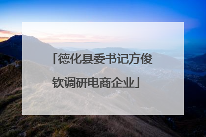 德化县委书记方俊钦调研电商企业