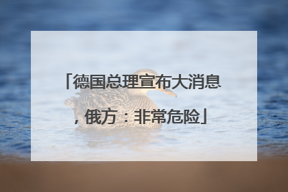 德国总理宣布大消息，俄方：非常危险