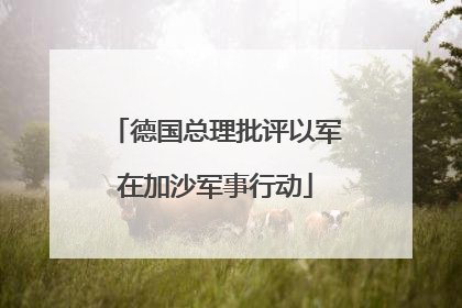 德国总理批评以军在加沙军事行动