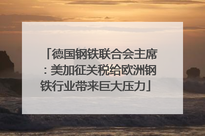 德国钢铁联合会主席：美加征关税给欧洲钢铁行业带来巨大压力