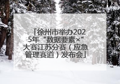 徐州市举办2025年“数据要素×”大赛江苏分赛（应急管理赛道）发布会