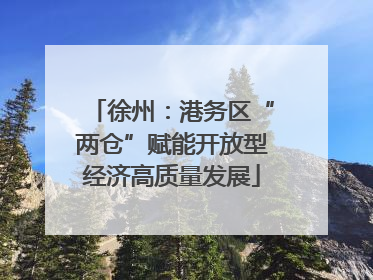 徐州：港务区“两仓”赋能开放型经济高质量发展