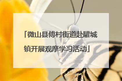 微山县傅村街道赴驩城镇开展观摩学习活动