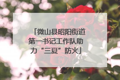 微山县昭阳街道第一书记工作队助力“三夏”防火