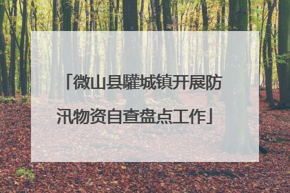 微山县驩城镇开展防汛物资自查盘点工作